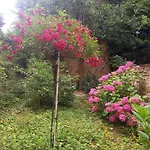 Appartamento La Teranga De Kadi & Cathy, Avec Jardin Privatif *