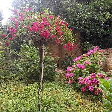 Lejlighed La Teranga De Kadi & Cathy, Avec Jardin Privatif *