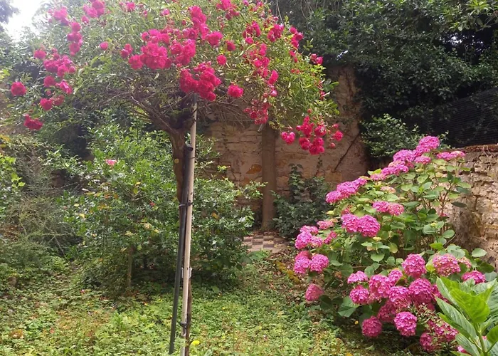 Lägenhet La Teranga De Kadi & Cathy, Avec Jardin Privatif *